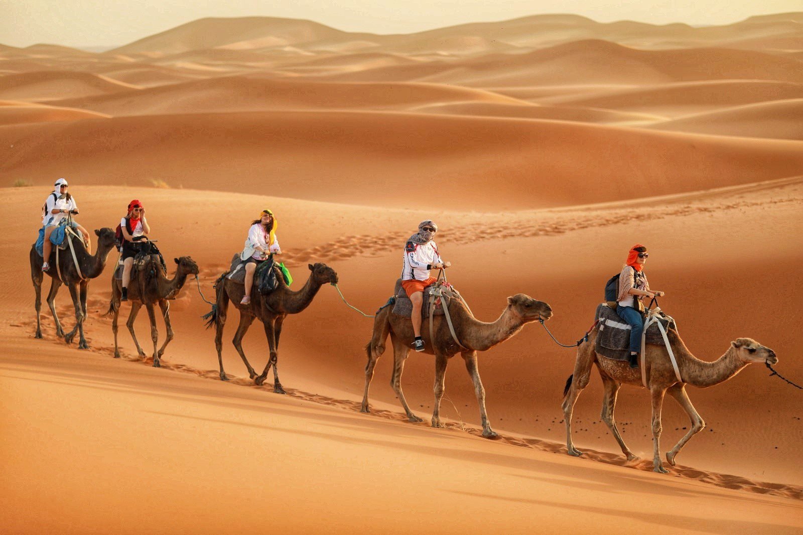 5-Day Desert Tour from Casablanca to Marrakech via Fes