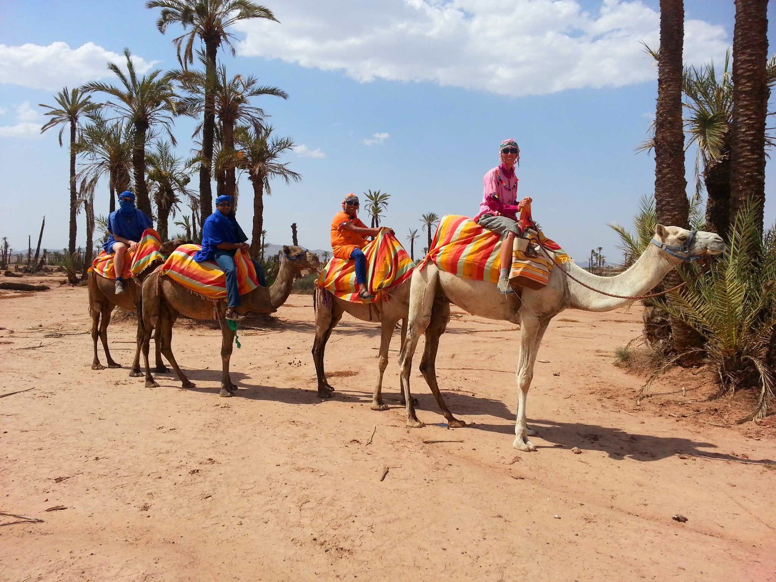 Marrakech Camel Ride in the Palm Grove